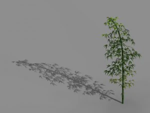 heyang outskirts - bamboo 02 3D Model