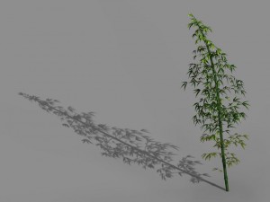 heyang outskirts - bamboo 02 3D Model