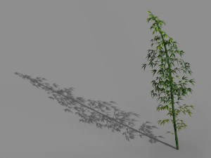 heyang outskirts - bamboo 02 3D Model