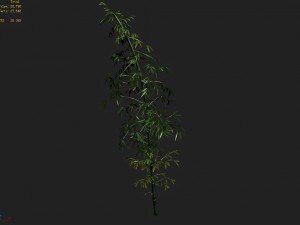 heyang outskirts - bamboo 02 3D Model