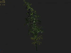 heyang outskirts - bamboo 02 3D Model