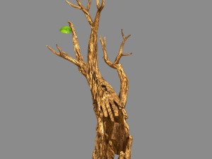 fox qishan - ruins film - dry tree 01 3D Model