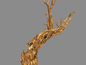 fox qishan - ruins film - dry tree 01 3D Model