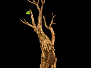 fox qishan - ruins film - dry tree 01 3D Model