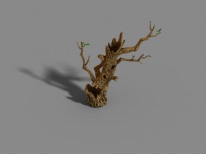 fox mountain - crescent spring - tree 01 3D Model