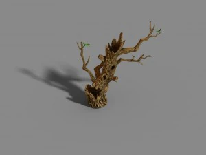 montagna della volpe - sorgente a mezzaluna - albero 01 Modello 3D