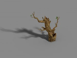 fox mountain - crescent spring - tree 01 3D Model