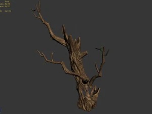 fox mountain - crescent spring - tree 01 3D Model