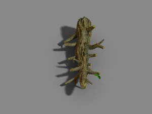 fox mountain - crescent spring - tree 02 3D Model