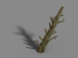 fox mountain - crescent spring - tree 02 3D मॉडल