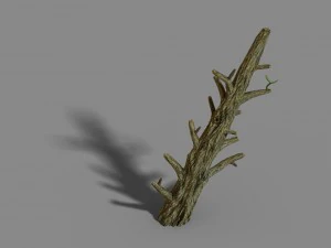 fox mountain - crescent spring - tree 02 3D Model