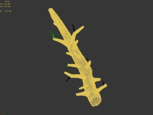 fox mountain - crescent spring - tree 02 3D Model