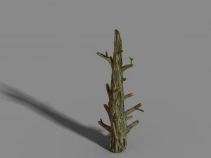 fox mountain - crescent spring - tree 02 3D Model