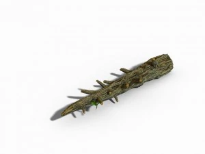 fox mountain - crescent spring - tree 02 3D Model