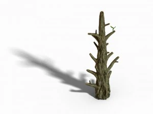 fox mountain - crescent spring - tree 02 3D Model