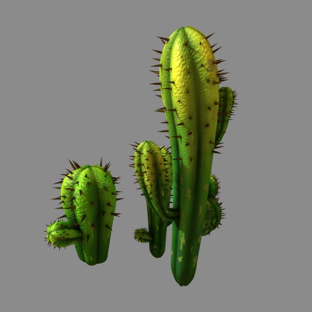fox qishan - crescent spring - cactus 3D Model .c4d .max .obj .3ds .fbx .stl .blend 