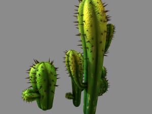 fox qishan - crescent spring - cactus 3D मॉडल