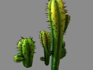 lis qishan - wiosna p&oacute;łksiężyca - kaktus Model 3D