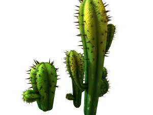fox qishan - crescent spring - cactus 3D Model
