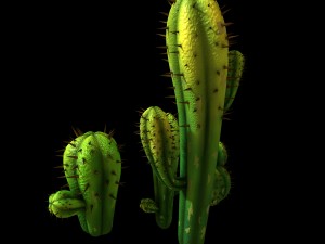 fox qishan - crescent spring - cactus 3D Model