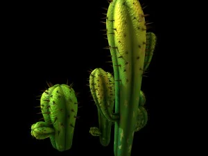 fox qishan - crescent spring - cactus 3D Model