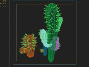 fox qishan - crescent spring - cactus 3D Model