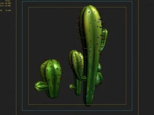 fox qishan - crescent spring - cactus 3D Model