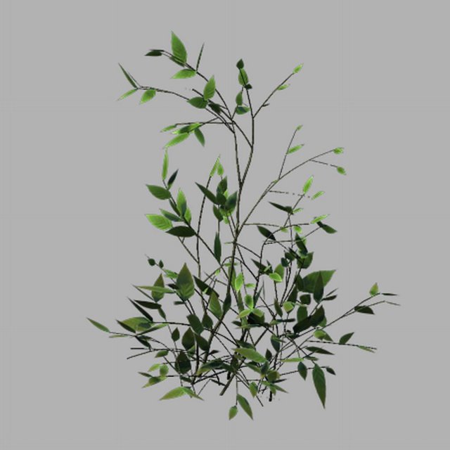 huashan - small plant 02 3D-Modell .c4d .max .obj .3ds .fbx .stl .blend 