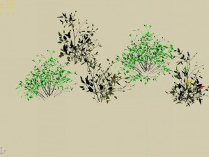 huashan - small plant 02 3D-Modell