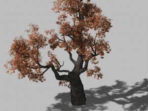 huashan - plant - tree 01 Modelo 3D