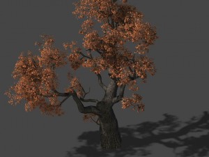 huashan - plant - tree 01 3D 模型