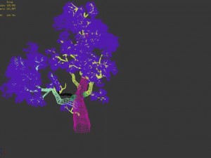 huashan - plant - tree 01 3D 模型