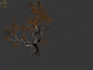 huashan - plant - tree 01 3D 模型