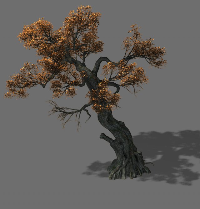 huashan - plant - tree 02 3D 模型 .c4d .max .obj .3ds .fbx .stl .blend