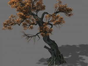 huashan - plant - tree 02 3D Модель