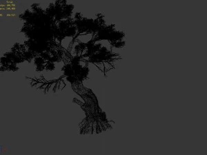 huashan - plant - tree 02 3D Model