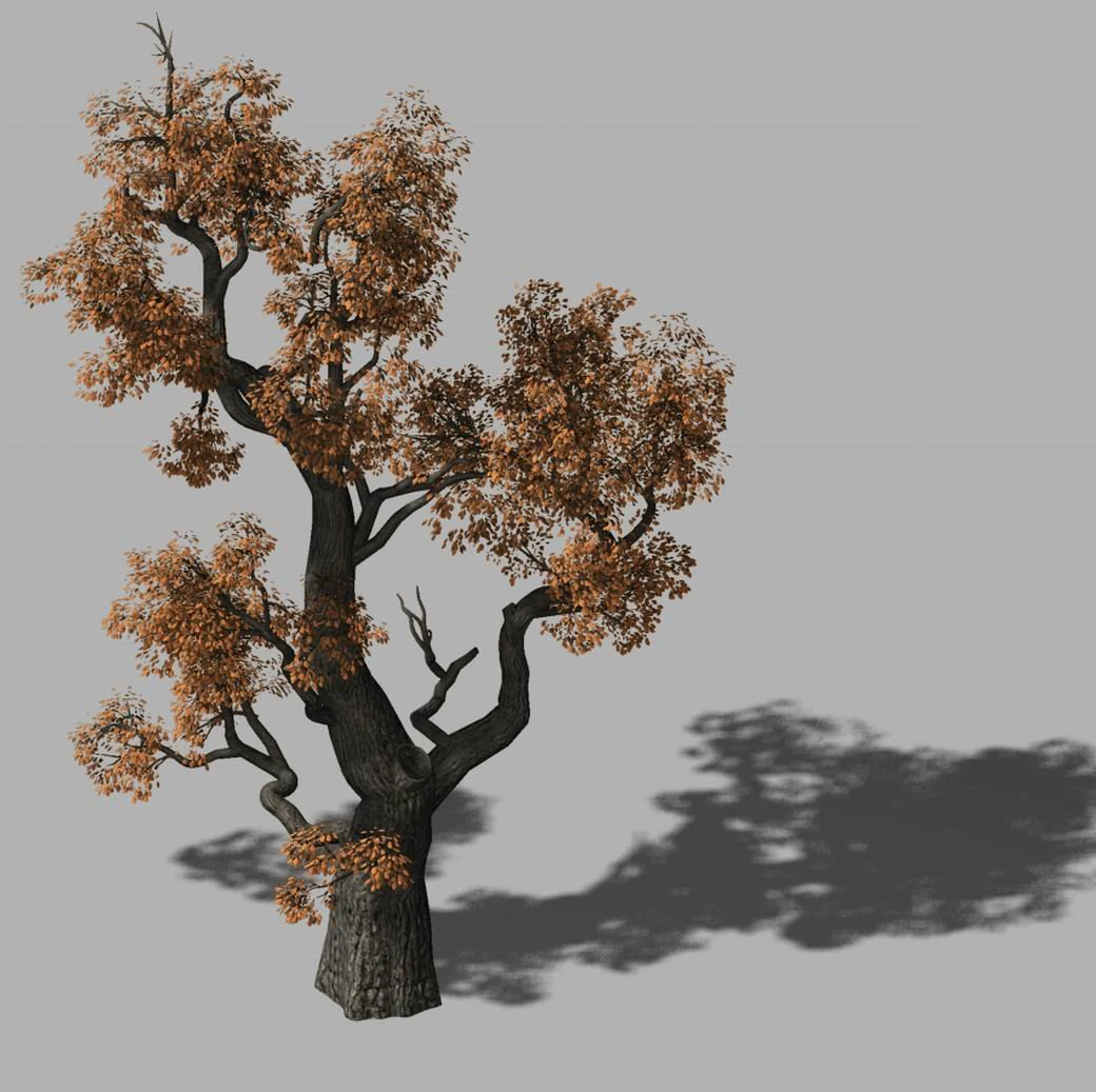 huashan - plant - tree 03 3D Model .c4d .max .obj .3ds .fbx .stl .blend 