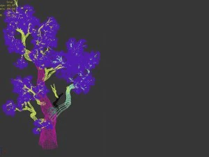 huashan - plant - tree 03 3D Model