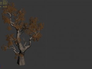 huashan - plant - tree 03 Modelo 3D