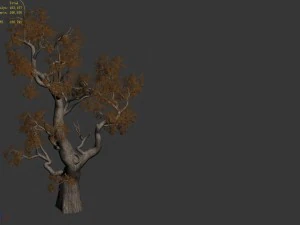 huashan - plant - tree 03 3D Model