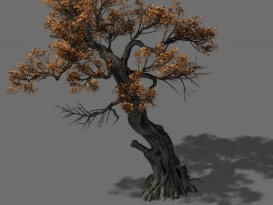 huashan - plant - tree 04 Modelo 3D