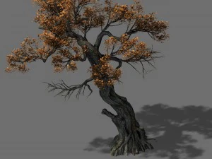 huashan - bitki - ağa&ccedil; 04 3D Model