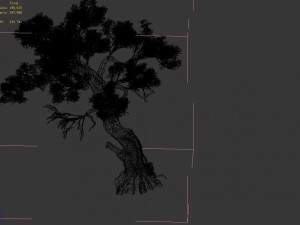 huashan - plant - tree 05 3D Модель