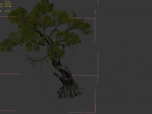 huashan - plant - tree 05 3D Модель