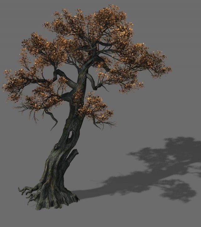 huashan - plant - tree 06 Modelo 3D .c4d .max .obj .3ds .fbx .stl .blend 