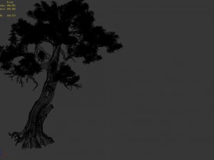 huashan - plant - tree 06 Modelo 3D
