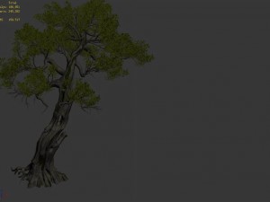 huashan - plant - tree 06 Modelo 3D