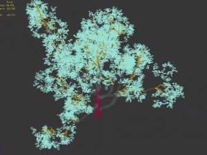 huashan - plant - tree 07 3D मॉडल