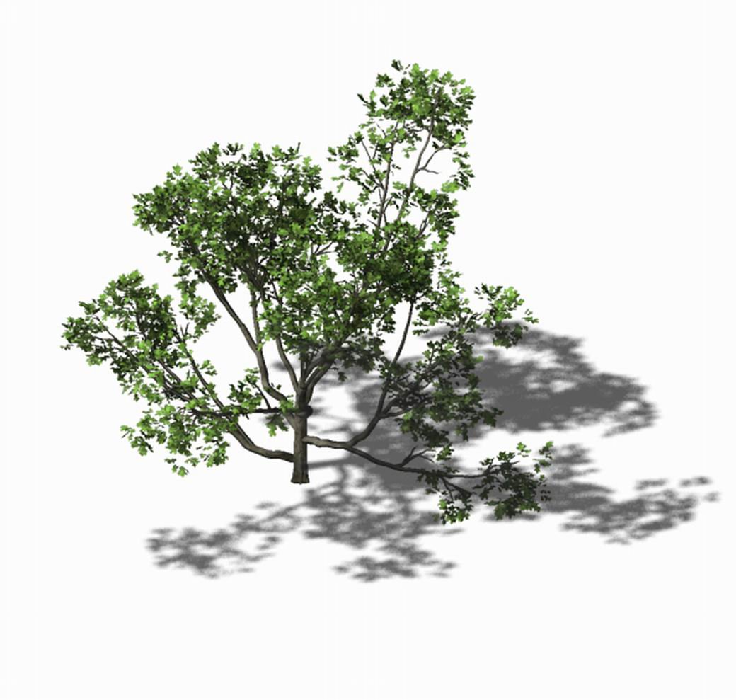 8 trees. Деревья для 3d max. 8 trees. 8 trees. Текстура дерева фэнтези.