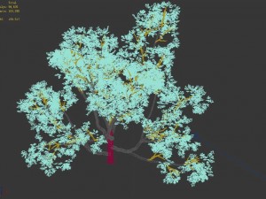 huashan - plant - tree 08 Model 3D